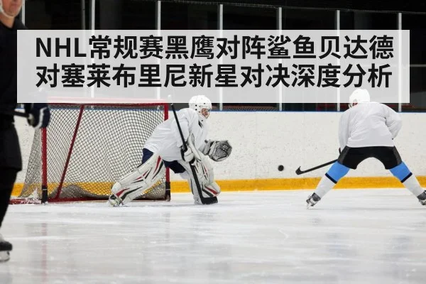 NHL常规赛黑鹰对阵鲨鱼贝达德对塞莱布里尼新星对决深度分析