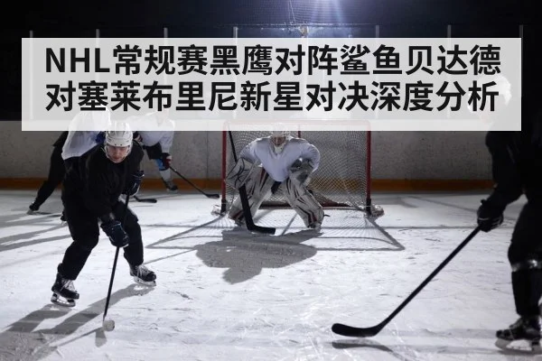 hockey rink action